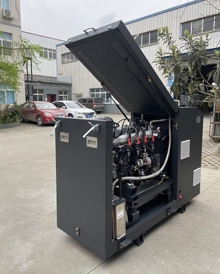 ราคาดี High Efficiency CE Approved Micro Biogas CHP Mini Cogenerator Set Unit System 16kw 20kva ออนไลน์