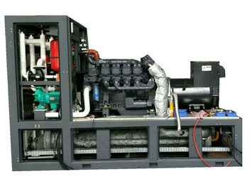 ราคาดี 280KVA 220KW Biogas Electric Generator Stable Performance Easy Maintenance ออนไลน์